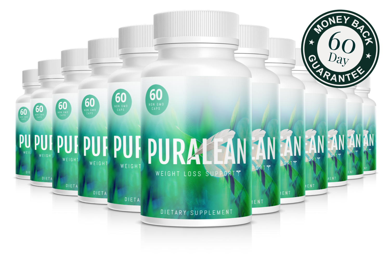 pura 12